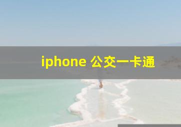 iphone 公交一卡通